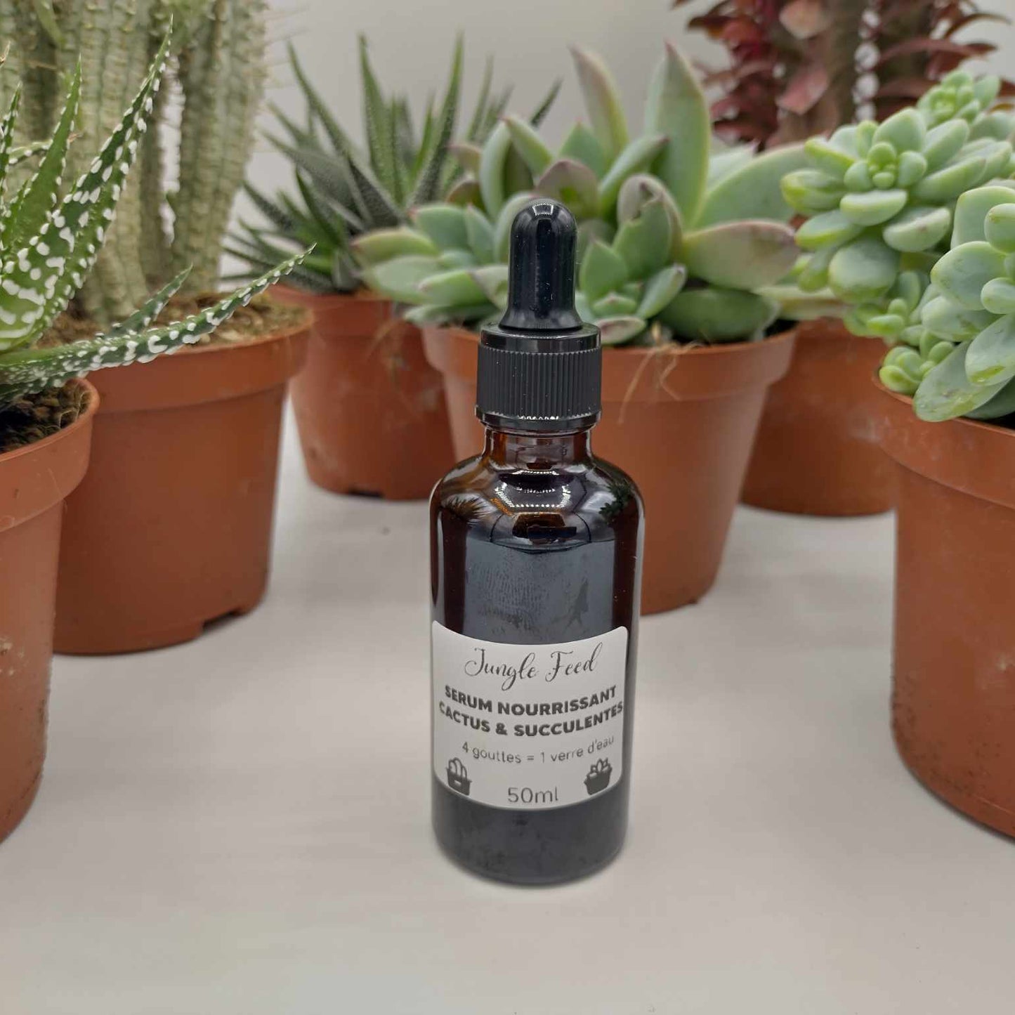 Engrais nourrissant cactus & succulentes