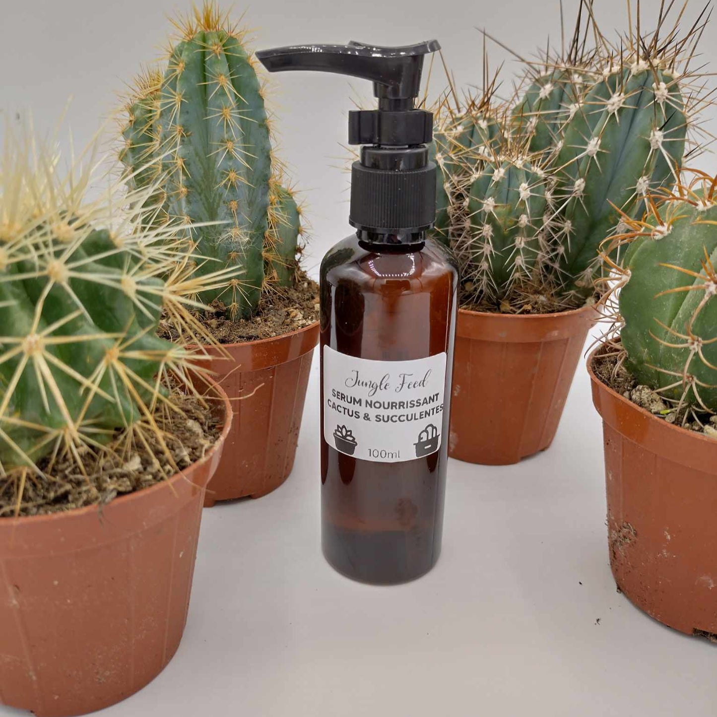 Engrais nourrissant cactus & succulentes