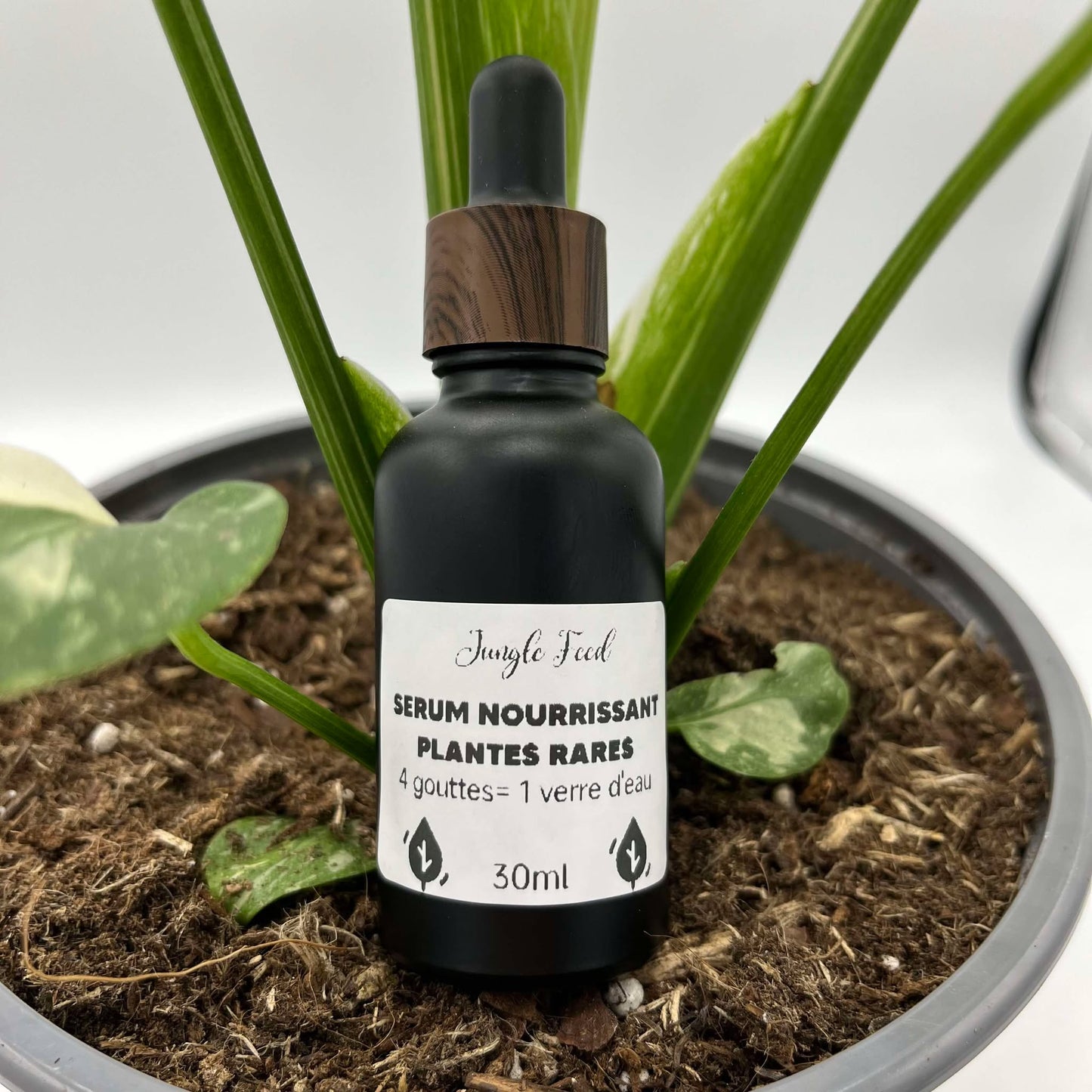 Engrais nourrissant plantes rares