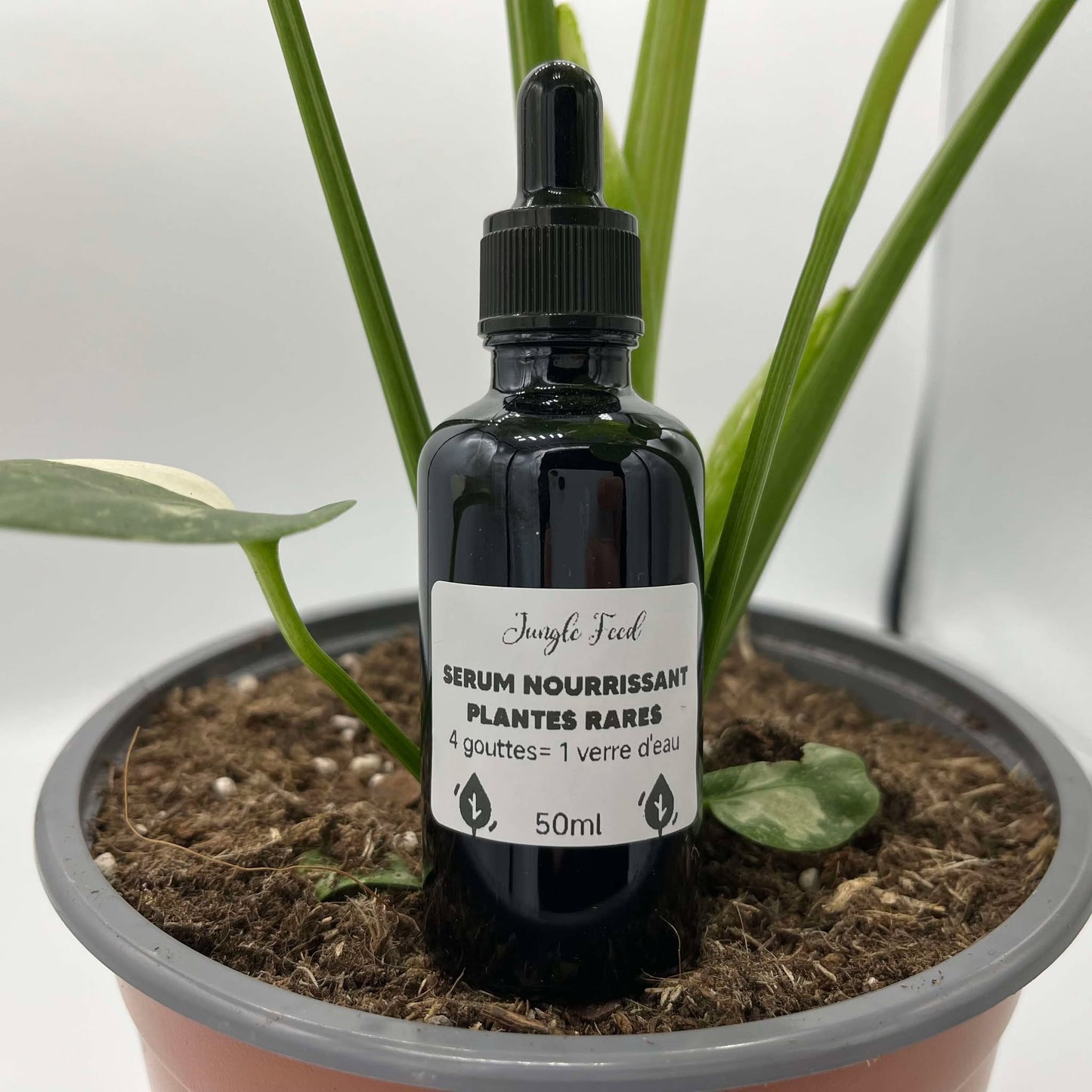 Engrais nourrissant plantes rares