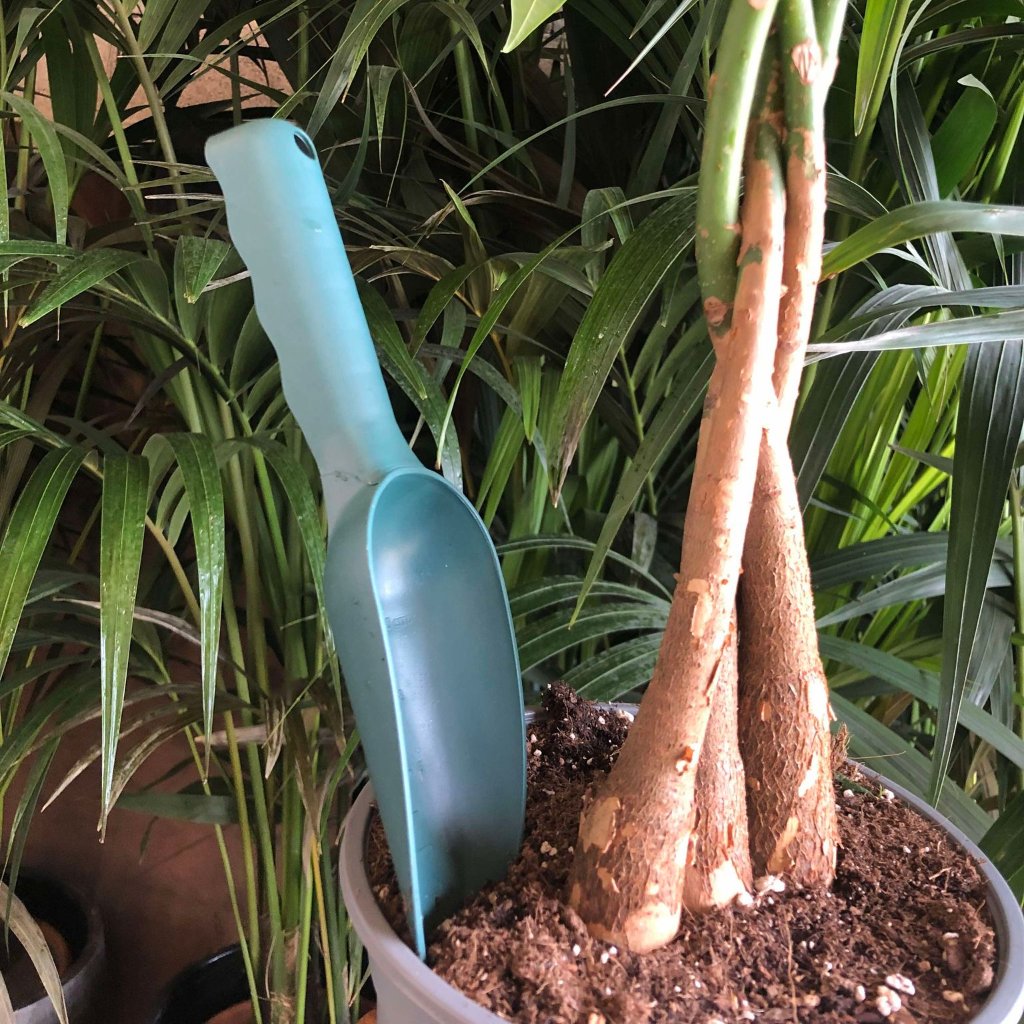 Pelle de Jardin Ergonomique 🌱