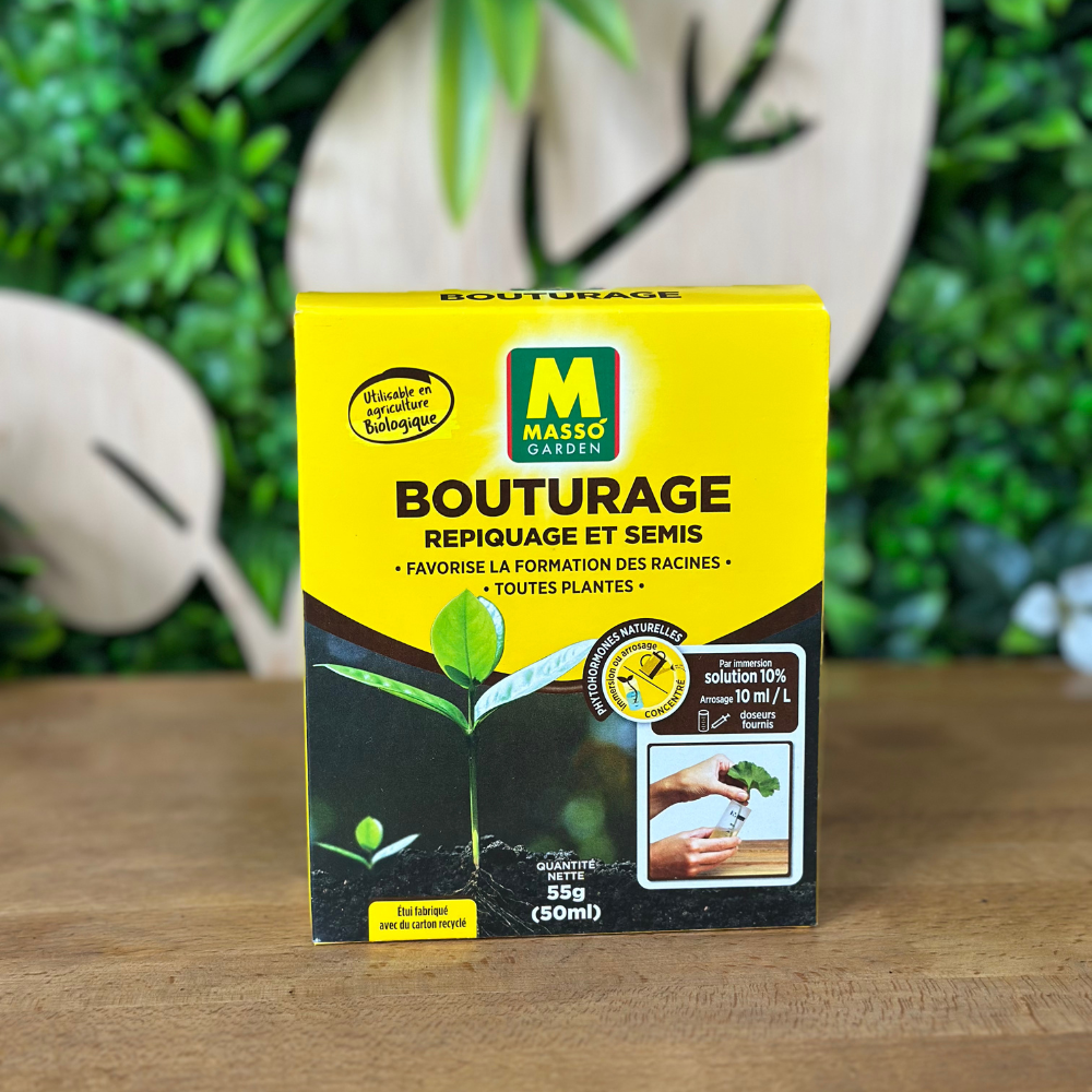 🌱 Kit de Bouturage – Masso Garden 🌱