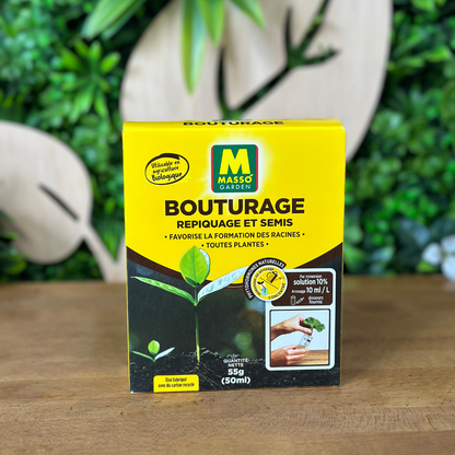 🌱 Kit de Bouturage – Masso Garden 🌱