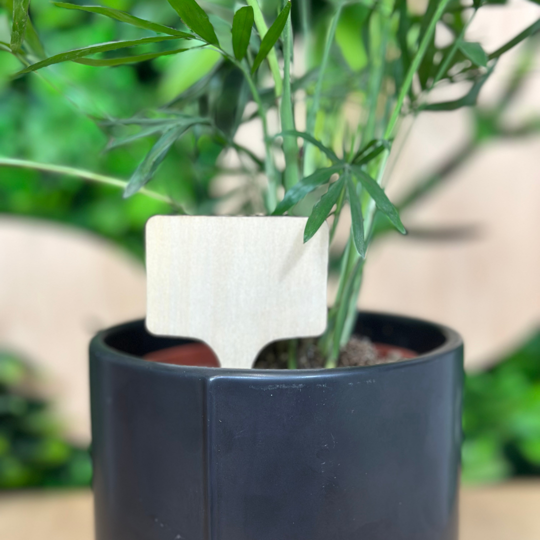 Étiquettes en Bois pour Plantes 🍃