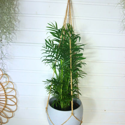 Porte-Plante Suspendu en Macramé  🌿