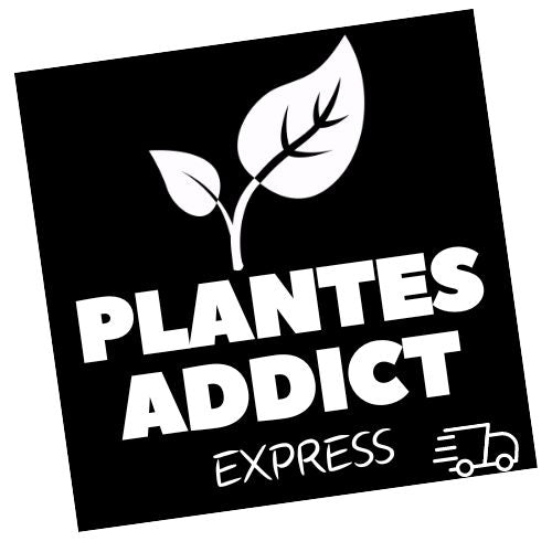 Plantes Addict